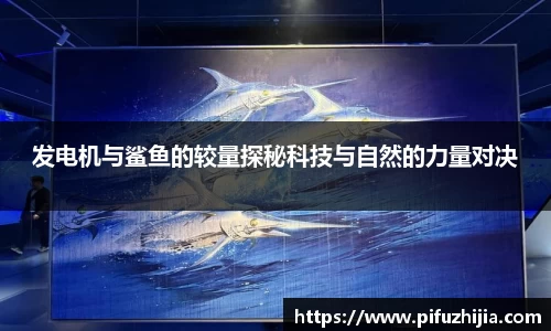 发电机与鲨鱼的较量探秘科技与自然的力量对决